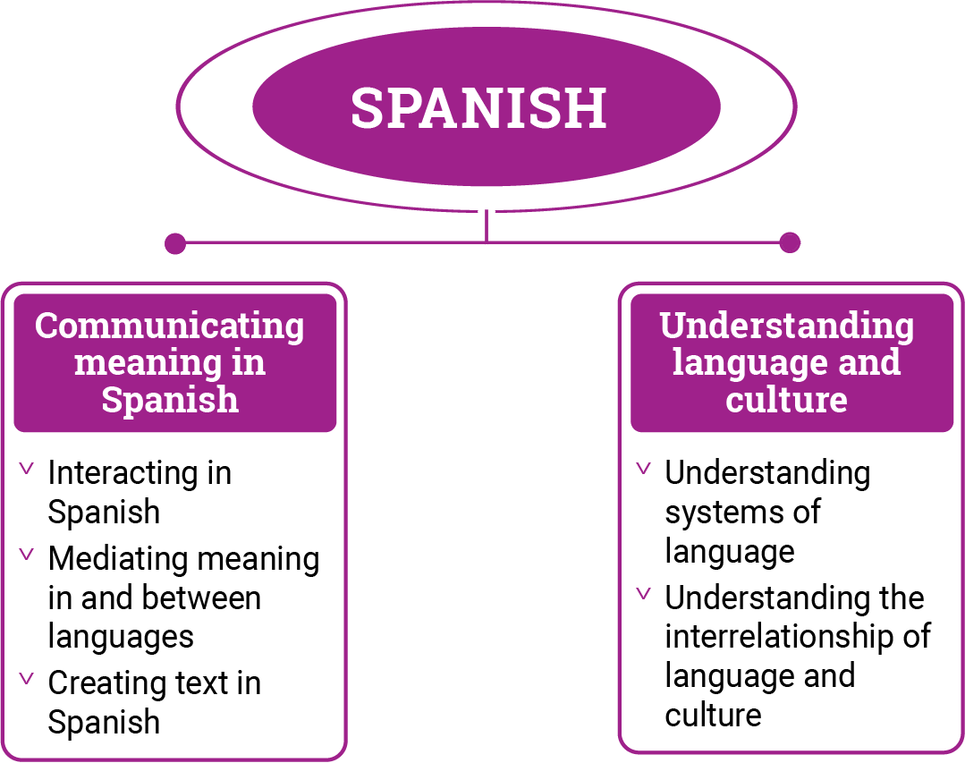 Figure 1: Spanish content structure