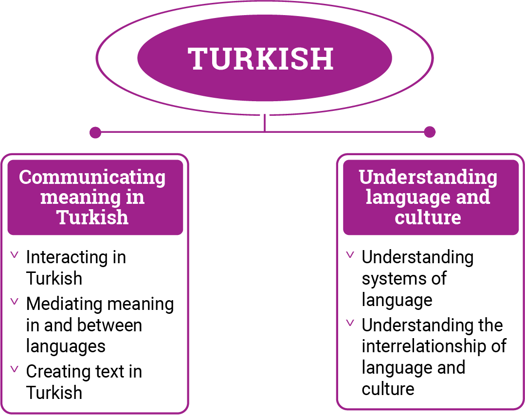 Diagram demonstrating the different strands in Turkish