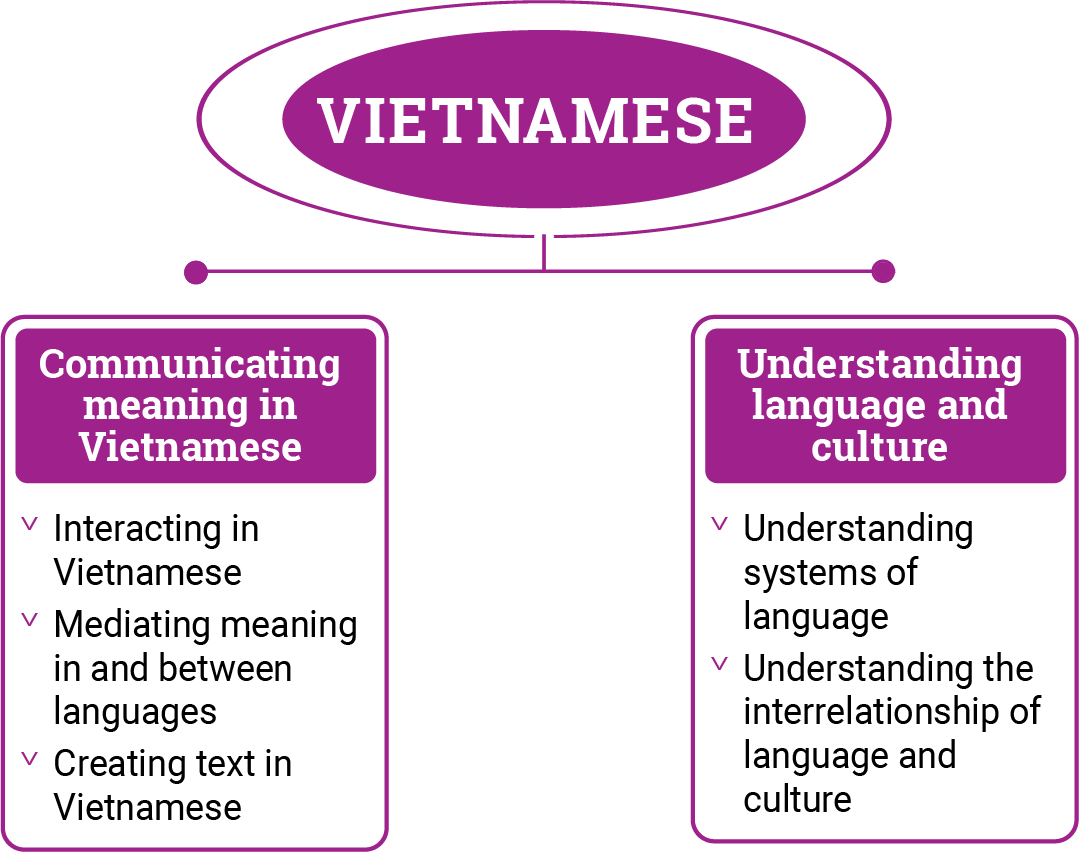 Diagram demonstrating the different strands in Vietnamese