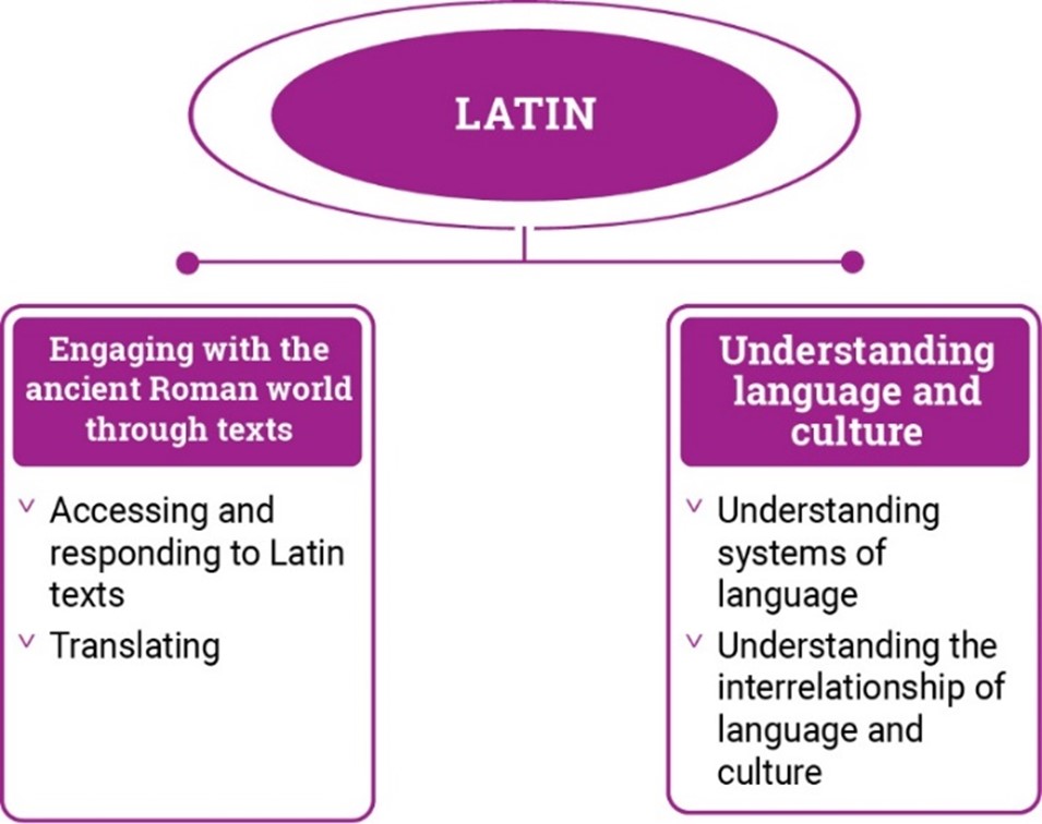 Diagram demonstrating the different strands in Latin