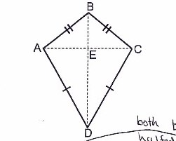 <p>Measurement and geometry: Equal areas</p>