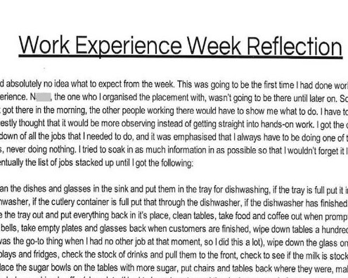 <p>Learning through work experience</p>