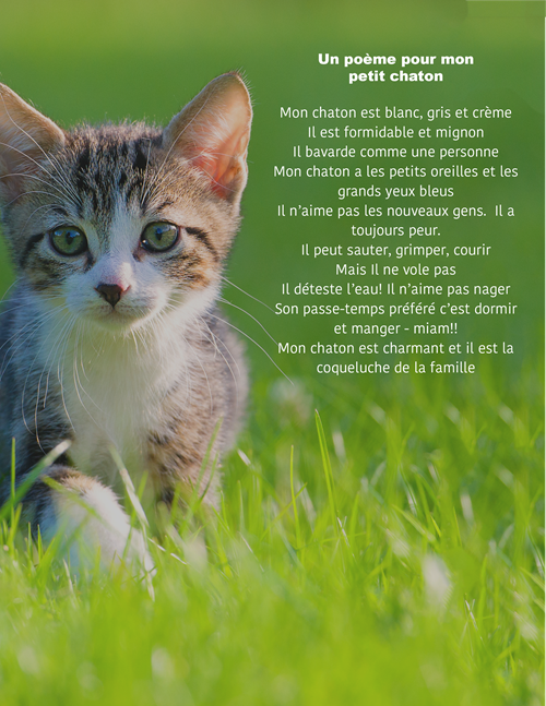 <p>Un poème pour mon chaton</p>
