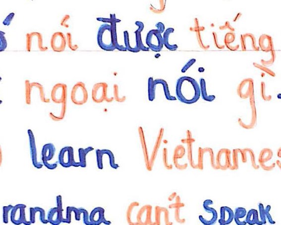 <p>Why I want to learn Vietnamese</p>